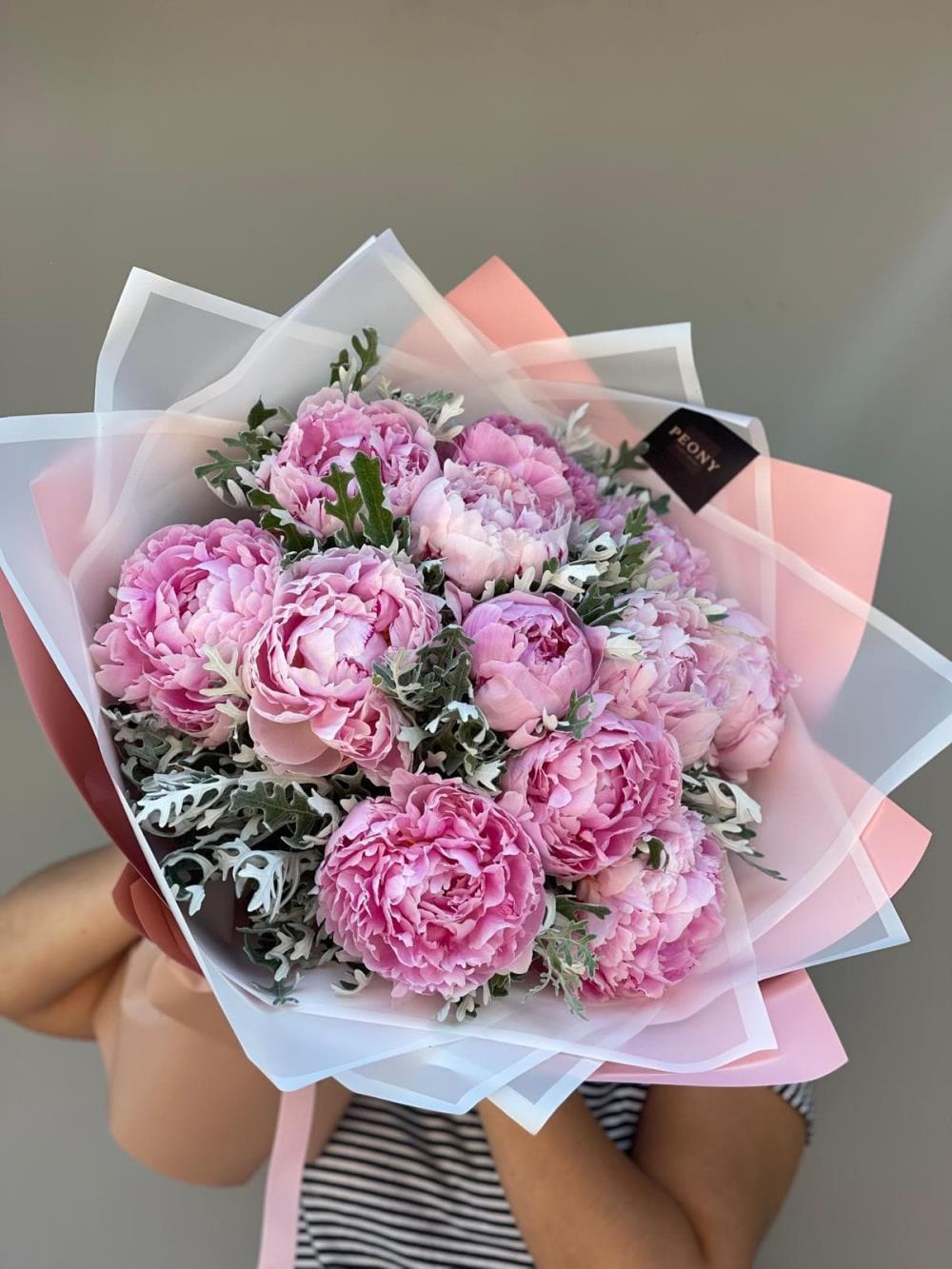 Peony Harmony